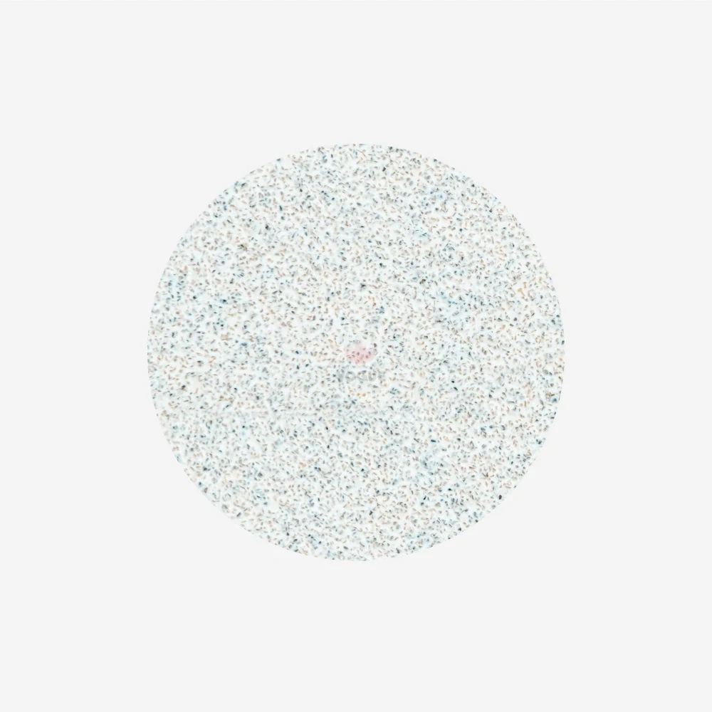 Staleks Pro Brúsne papiere Pododisc L PDF-25-320 biele