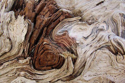 Acqua Woman Eau de Parfum 100ml