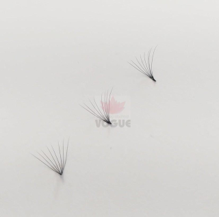 8D hotové vejáriky 900ks